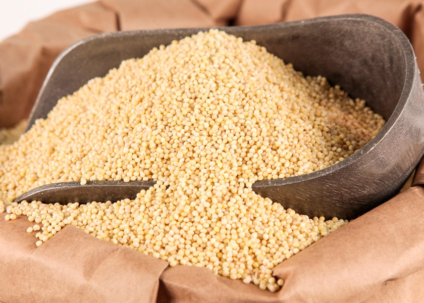 Honeyville Hulled Millet 50 LB