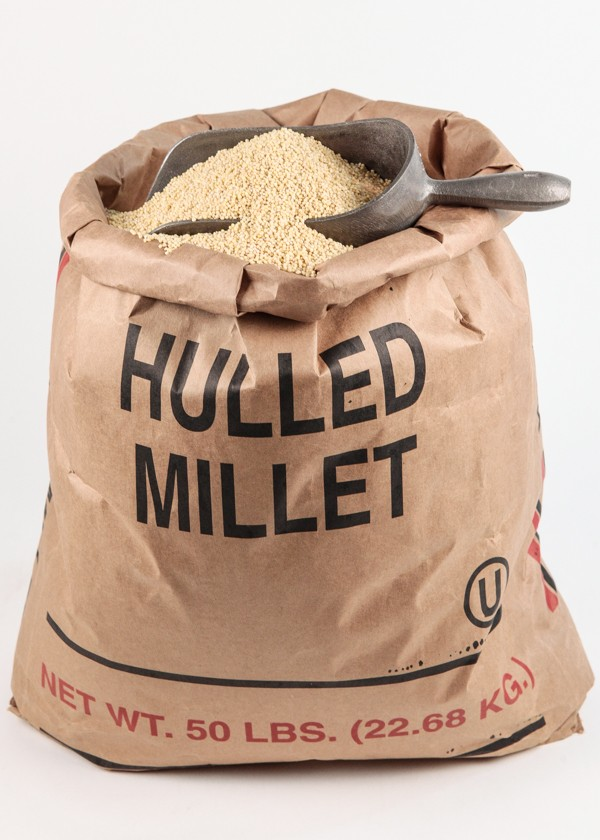 Honeyville Hulled Millet 50 LB